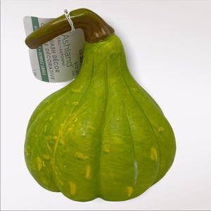 Ashland | Squash Fall Decor
